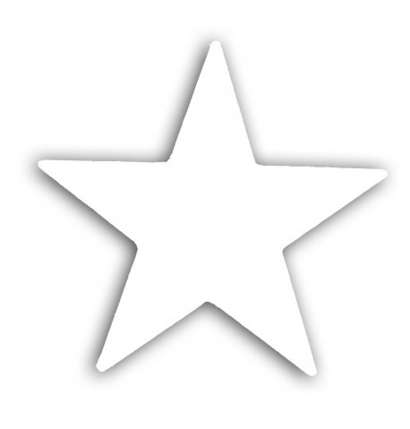 Sachet d'étoile holographique blanche