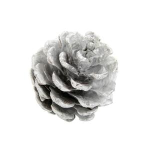 Sachet de pommes de pin bois blanchi