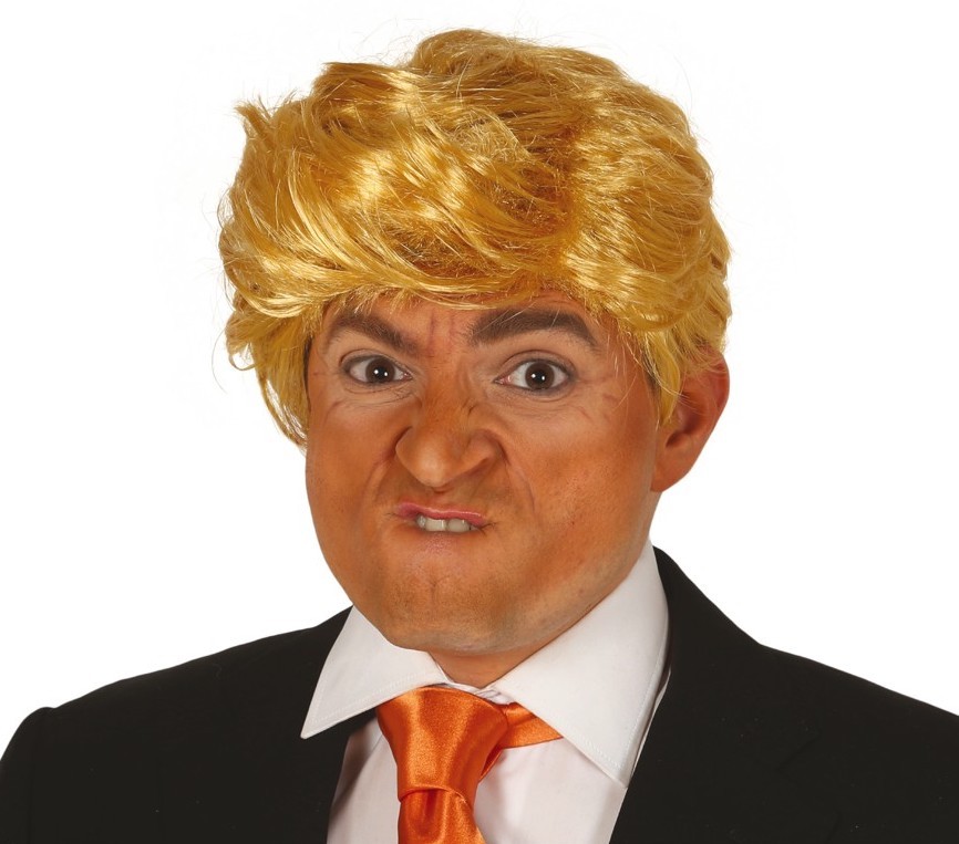 Perruque Donald Trump adulte 1 Perruque Donald Trump adulte