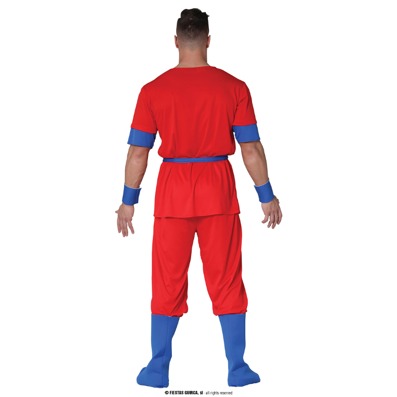 Déguisement son goku