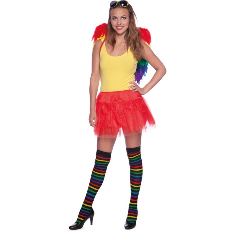 Ailes arc-en-ciel pride