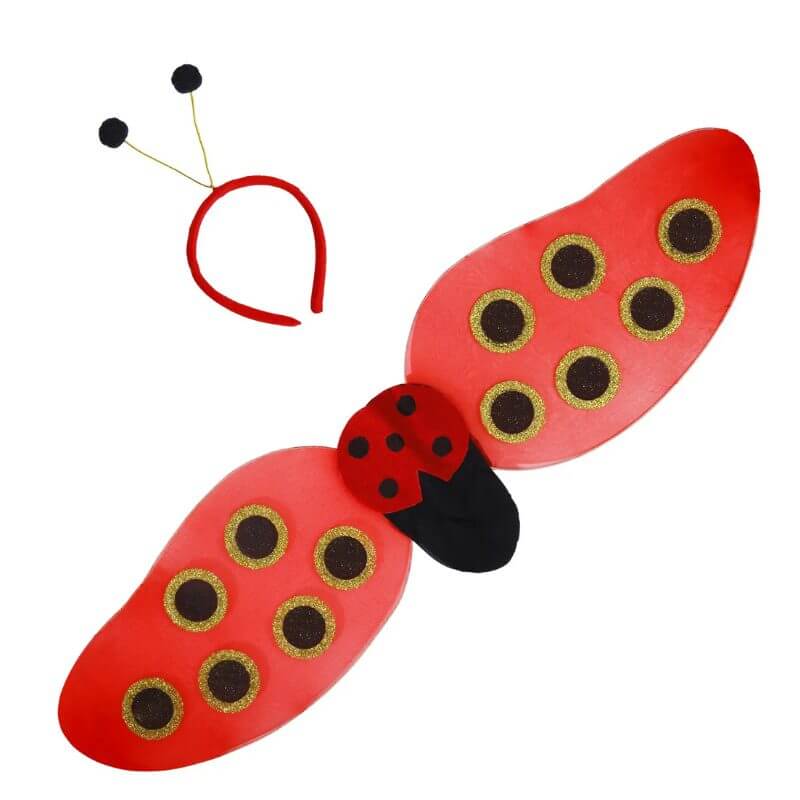 Set d'accessoires coccinelle