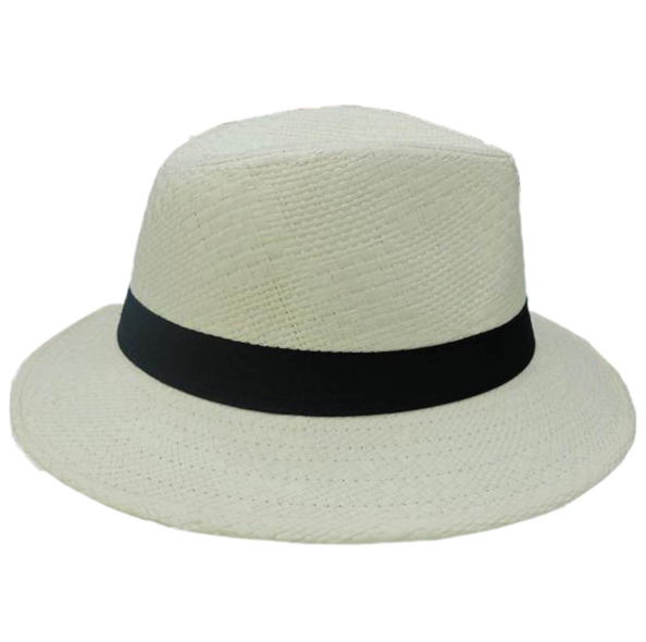 Grand borsalino blanc