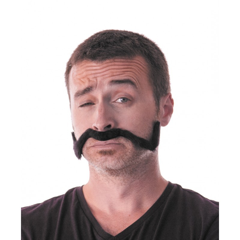 Moustache chinoise traditionnelle