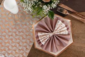 25 serviettes qualité premium - 40x40