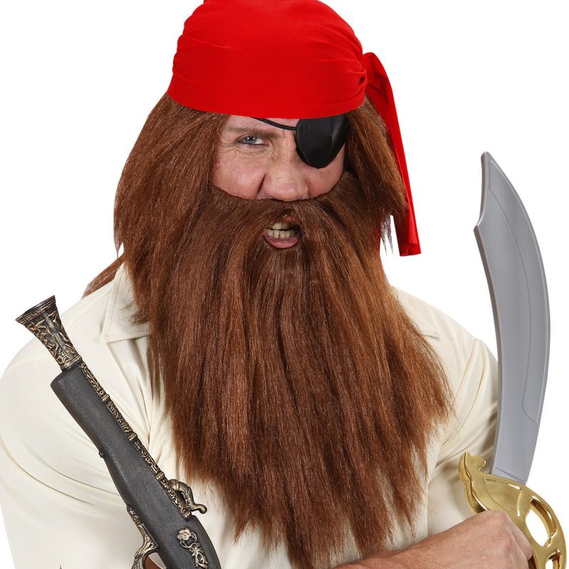 Perruque & Barbe pirate adulte