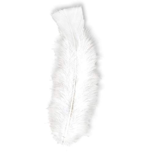Sachet de 20 plumes décoratives