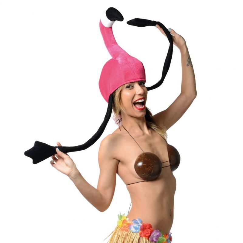 Chapeau flamand rose en velours