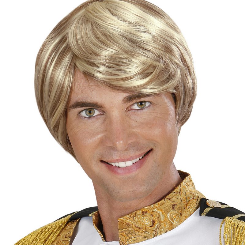 Perruque Prince Charmant adulte