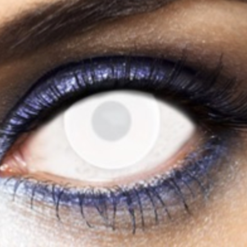 Lentilles hebdomadaires new white