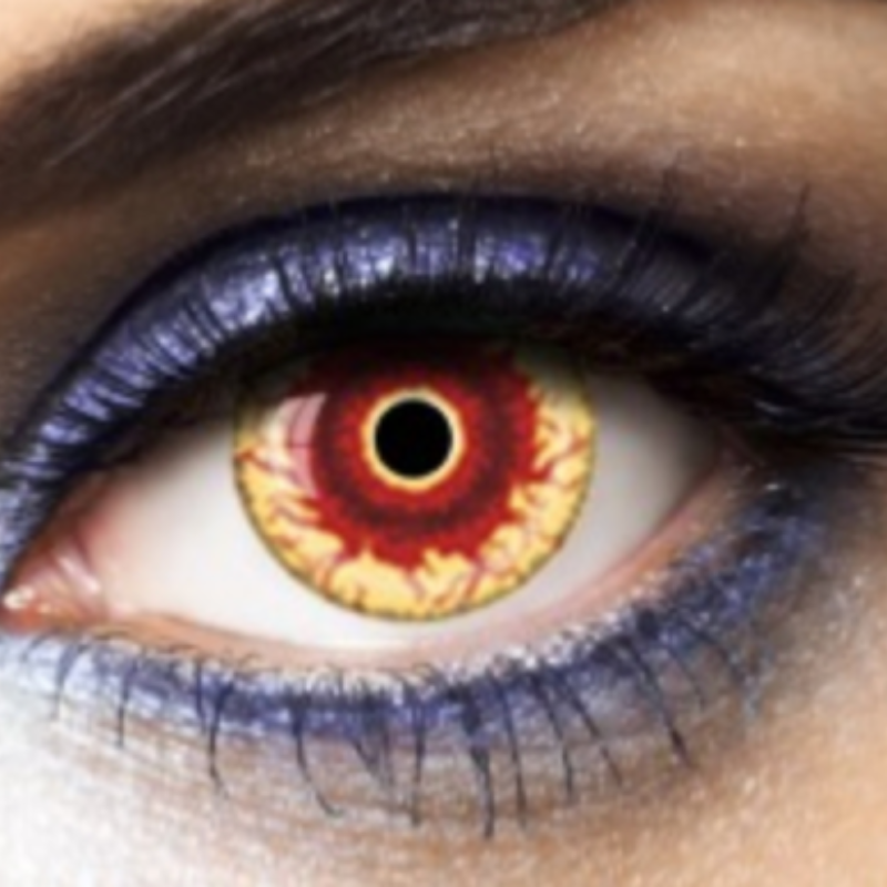 Lentilles annuelles demon