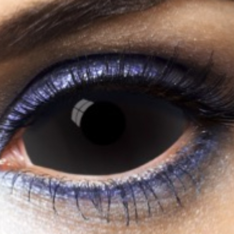 Lentilles annuelles all black