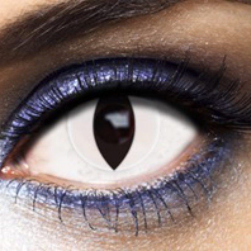 Lentilles hebdomadaires white cat