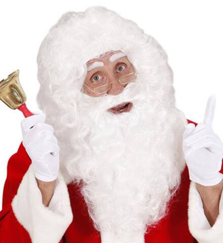 Perruque et Maxi Barbe Blanche